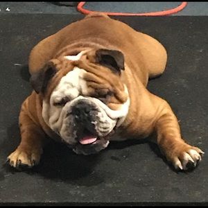 Meet your Posher, Andrea